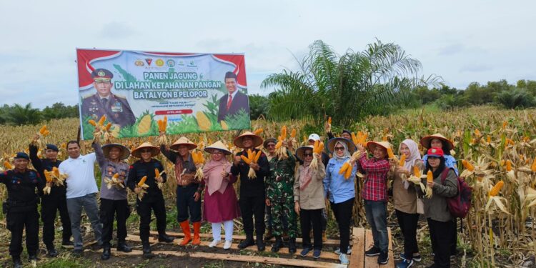 Foto:IST/MATA KALTENG - Panen raya kebun jagung di Mako Brimob Polda Kalteng di Sampit, Kotim, 5 April 2025.