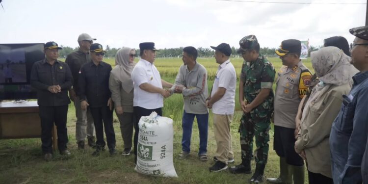 Foto: IST/MATA KALTENG - Panen raya di Desa Lampuyang Kecamatan Teluk Sampit belum lama ini.