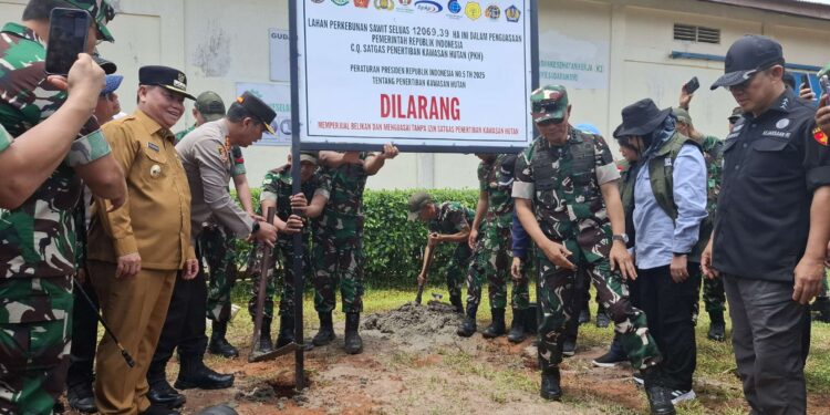 Foto:DOK/MATA KALTENG - Penyitaan kawasan hutan yang masuk dalam perkebunan kelapa sawit di Kabupaten Kotim oleh PKH.