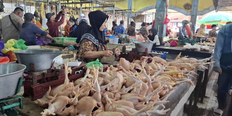 Foto: DIAN/MATA KALTENG - Pedagang ayam di PIM Sampit.