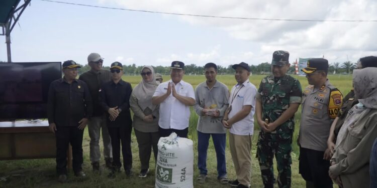 Foto:IST/MATA KALTENG - Panen raya di Desa Lampuyang, Kotim belum lama ini.
