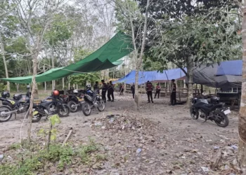 Diam-diam Jalan Lagi, Sabung Ayam di Sampit Bakal Ditindak Tegas