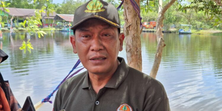 Foto: MATA KALTENG - Kepala BKSDA Resort Sampit Muriansyah.