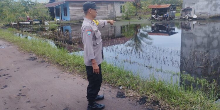 FOTO: MATAKALTENG - Bhabinkamtibmas Kelurahan Kalampangan, Aipda Nasotion, pada saat meninjau sawah warga yang kebanjiran.