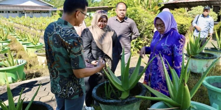 Foto: IST/MATA KALTENG - Wakil Bupati Kotawaringin Timur Irawati, bersama Ketua TP-PKK Kabupaten Kotawaringin Timur Hj. Khairiah Halikinnor saat kunjungi kebun lidah buaya di Pontianak belum lama ini.