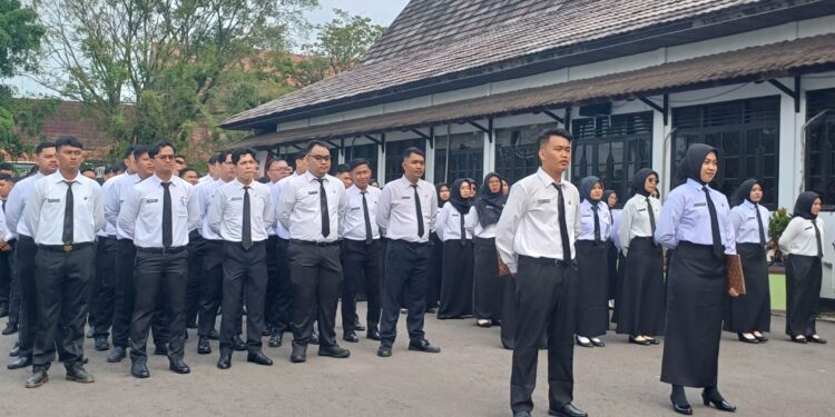 Foto: IST/MATA KALTENG - CPNS Formasi tahun anggaran 2024 yang merima SK di Kotim, Rabu, 30 April 2025.
