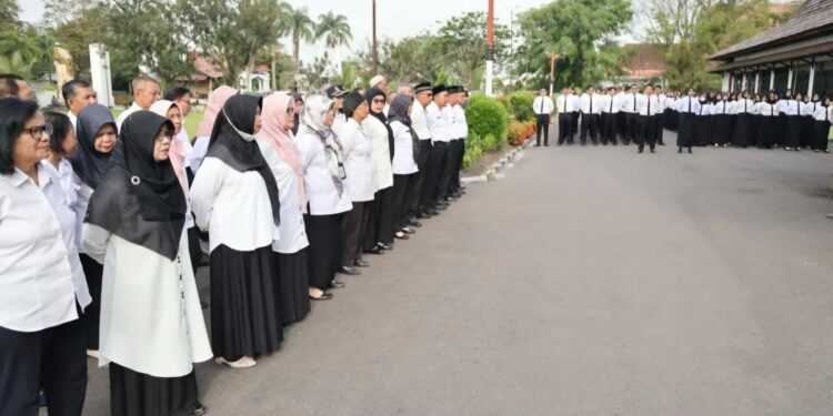 FOTO: IST/MATA KALTENG - CPNS Formasi tahun anggaran 2024 yang merima SK di Kotim, Rabu 30 April 2025.