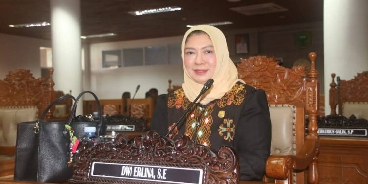 Anggota DPRD Pulpis, Dwi Erlina.
