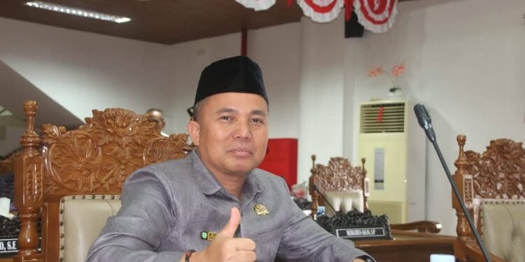 Anggota DPRD Kabupaten Pulang Pisau, Mohammad Yamin Amur.