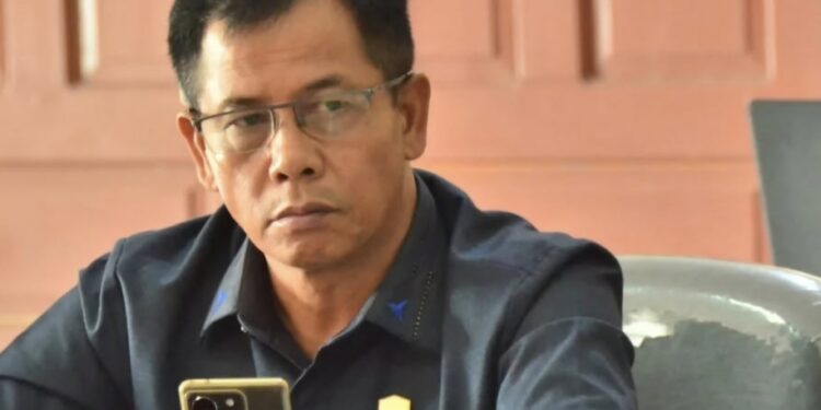 Foto: MATA KALTENG - Anggota Komisi III DPRD Kabupaten Kotawaringin Timur (Kotim) Sihol Parningotan Lumban Gaol.