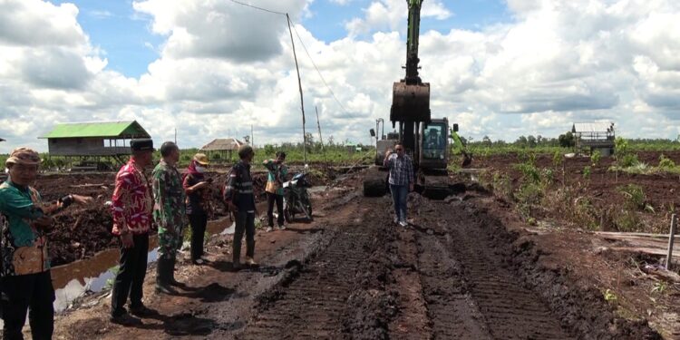 Foto:DIAN/MATA KALTENG - Lokasi lahan pertanian cetak sawah di Baamang Hulu, Kecamatan Baamang, Kotim.