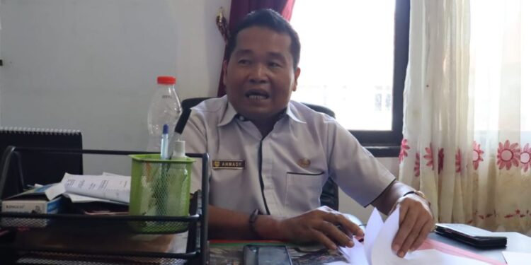 FOTO: MATAKALTENG - Kabid Kesenian pada Disbudpar Ahmady.