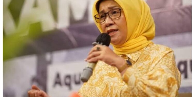 Ketua Komisi II DPRD Kalteng, Siti Nafsiah.