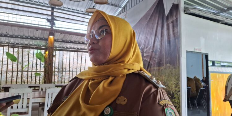 Foto:MATA KALTENG - Wakil Bupati Kotim Irawati.