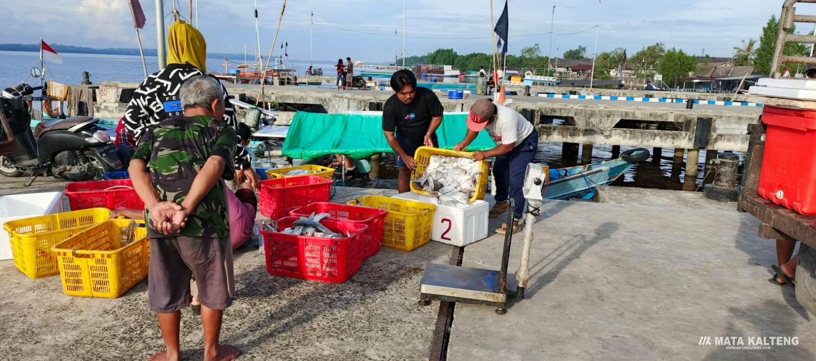 Aktivitas Penangkapan Ikan di Pelabuhan Perikanan Kumai Kembali Meningkat