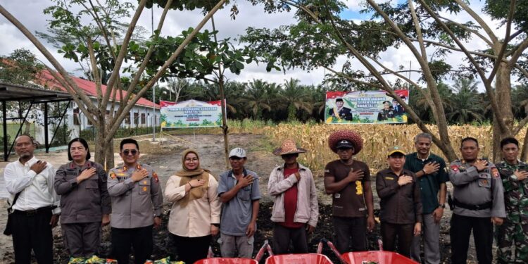 Foto: IST/MATA KALTENG - Panen Raya Jagung Serentak Kuartal II Tahun 2025 di Jalan Jendral Sudirman km 29 Sampit, 5 Juni 2025.