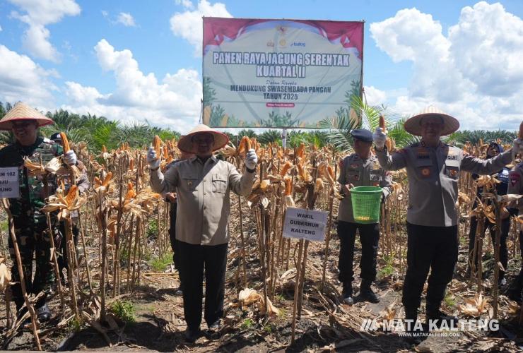 Dukung Swasembada Pangan, Pemprov Kalteng Genjot Tanam Jagung Hingga 15 Ribu Hektare