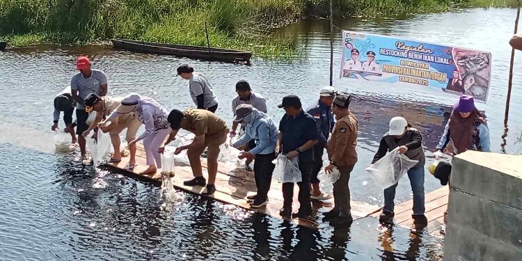 FOTO: IST/MATAKALTENG - Gubernur Kalteng Agustiar Sabran melakukan Restocking Benih Ikan di Embung Danau Asam yang terletak di Kelurahan Kotawaringin Hilir, Kecamatan Kolam, Kabupaten Kobar, Minggu 8 Juni 2025.