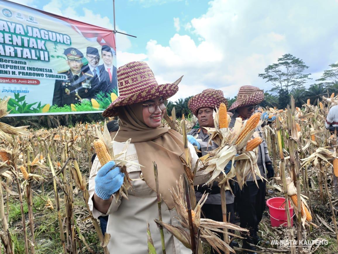 Petani Jadi Pilar Kemandirian Pangan di Kotim, Pemerintah Siapkan Dukungan Menyeluruh