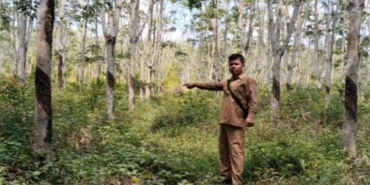 FOTO: IST/MATAKALTENG - Pengecekan lapangan Penghapusan Nomor Objek Pajak (NOP) Desa Sumber Agung dan Desa Pandu Sanjaya, Kecamatan Pangkalan Lada, Senin 5 Mei 2025.