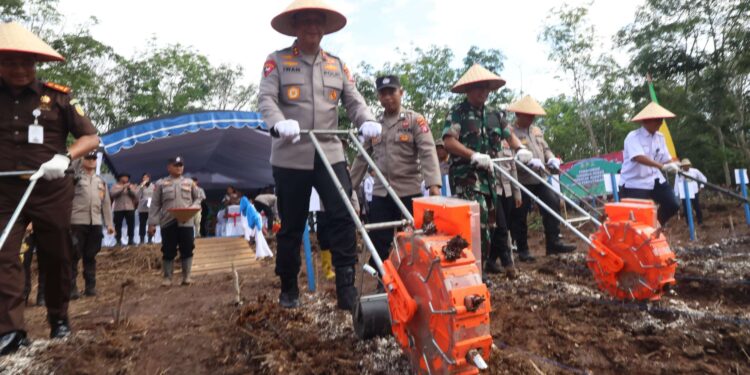 FOTO: MATAKALTENG - Kapolda Kalteng, Irjen Pol Iwan Kurniawan, pada saat melakukan penanaman jagung.