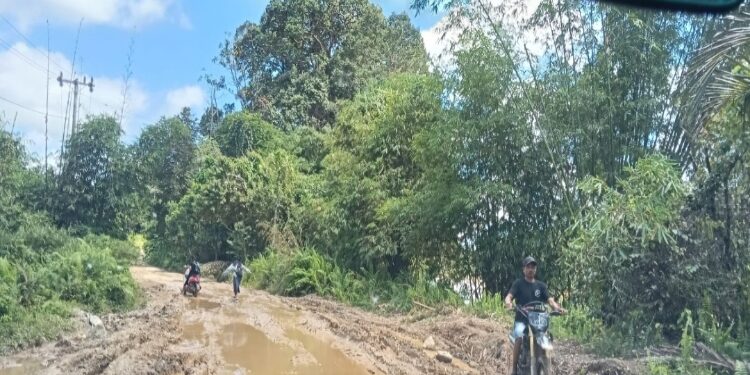 FOTO: RAYANIATIE DJANGKAN/MATA KALTENG - Kondisi ruas jalan dari Tewah menuju ke Tumbang Miri yang rusak parah dan berlumpur, Kamis 10 Juli 2025.