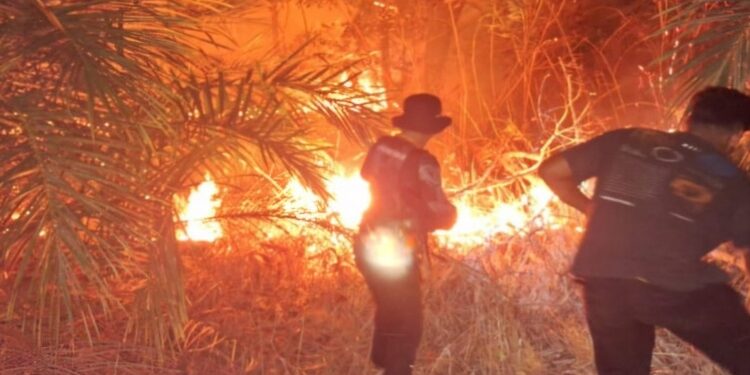 FOTO: IST/MATA KALTENG - Proses pemadaman karhan di Kecamatan Parenggean, Kotim.
