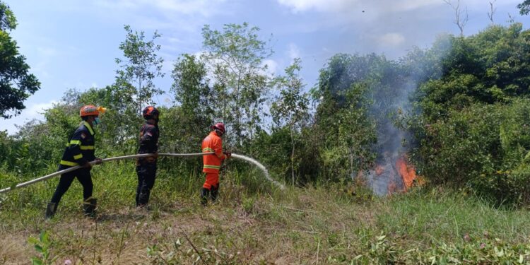 Foto:IST/MATA KALTENG - Simulasi kebakaran hutan dan lahan di Mako BPBD Kotim, 6 Agustus 2025.
