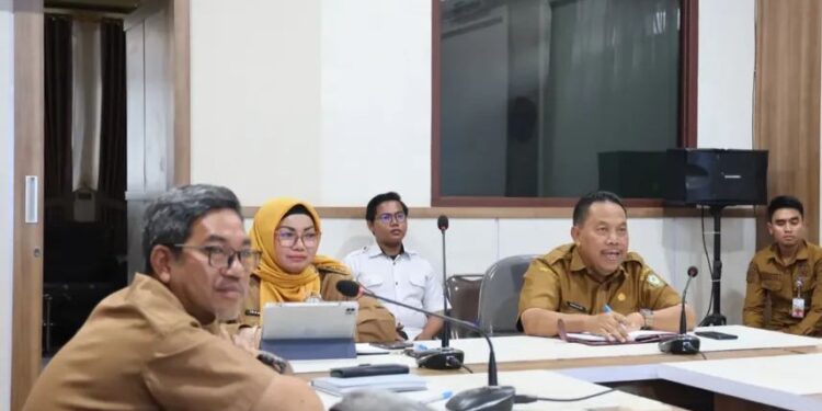 Foto:IST/MATA KALTENG- Rapat Kerja sama dan Dengar Pendapat bersama Menteri Dalam Negeri (Mendagri) secara virtual.