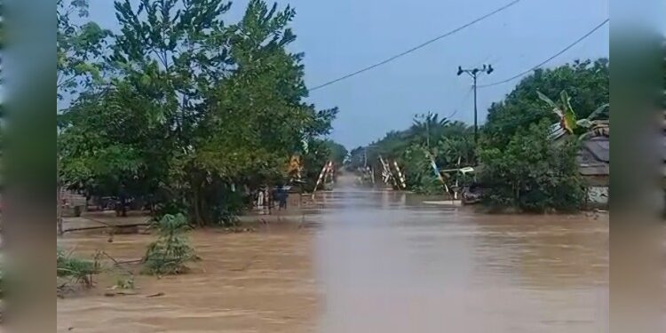 Foto:BPBD/MATA KALTENG -Banjir di Desa Beringin Tunggal Jaya.