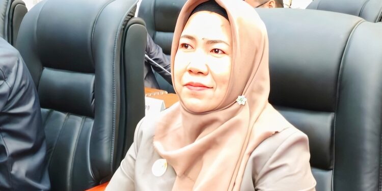 Anggota DPRD Kabupaten Katingan, Realita.