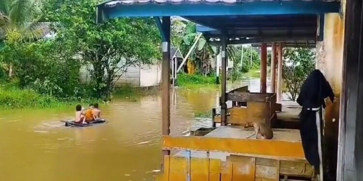 Foto:IST/MATA KALTENG - Kondisi banjir di desa Sungai Hanya, 11 September2025.