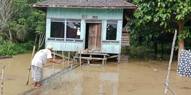 FOTO: BPBD/MATA KALTENG - Kondisi banjir di Desa Barunang Miri.