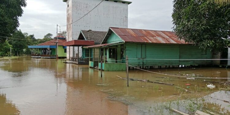 Foto:IST/MATA KALTENG - Banjir di wilayah utara Kotim.
