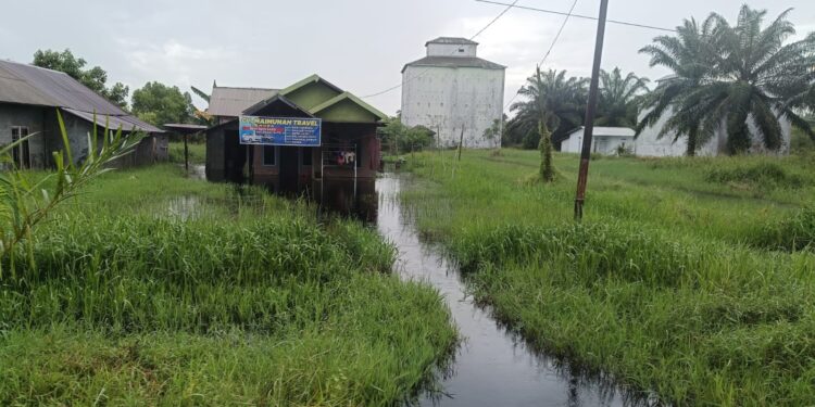 Foto:IST/MATA KALTENG - Banjir di wilayah Kecamatan Mentaya Hilir Selatan, Kabupaten Kotawaringin Timur (Kotim).
