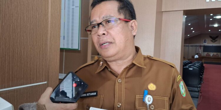 Foto: MATAKALTENG - Kepala Dinas Penanaman Modal dan Pelayanan Terpadu Satu Pintu (DPMPTSP) Kotim, Diana Setiawan.