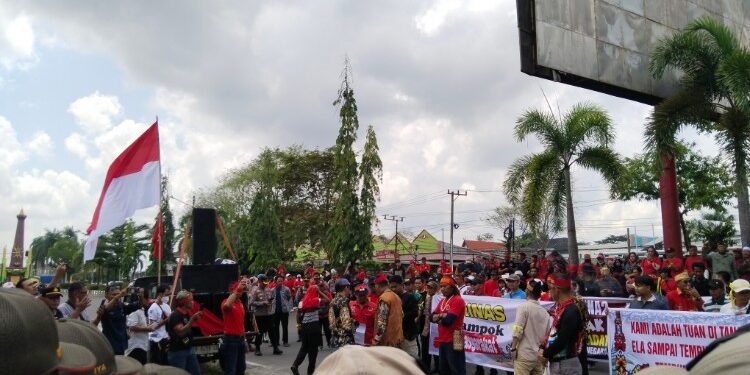 FOTO: AGUS/MATAKALTENG - Aliansi Koperasi  Masyarakat Kotim saat aksi depan kantor pemda Kotim pada Rabu, 24 September 2025