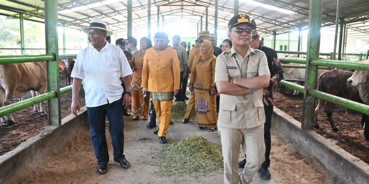 FOTO: IST/MATAKALTENG - Gubernur Agustiar Sabran Tinjau Sentra Produksi BJA Farm di Kobar.