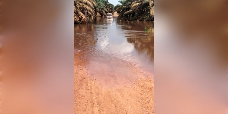Foto:IST/MATA KALTENG - Kondisi banjir di Desa Sei Ubar Mandiri.