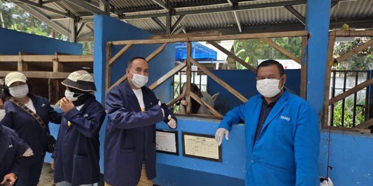 Foto:IST/MATA KALTENG - Kunjungan Ketua Kadim Kotim ke Balai Inseminasi Buatan (BIB) Lembang, Bandung, Jawa Barat.