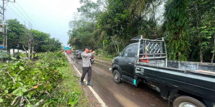 FOTO: IST/MATAKALTENG- Anggota Polsek Kota Besi,  Aiptu Arief Nugroho sedang mengatur lalulintas pasca pohon tumbang di lokasi tersebut pada Kamis, 6 November 2025 sore.