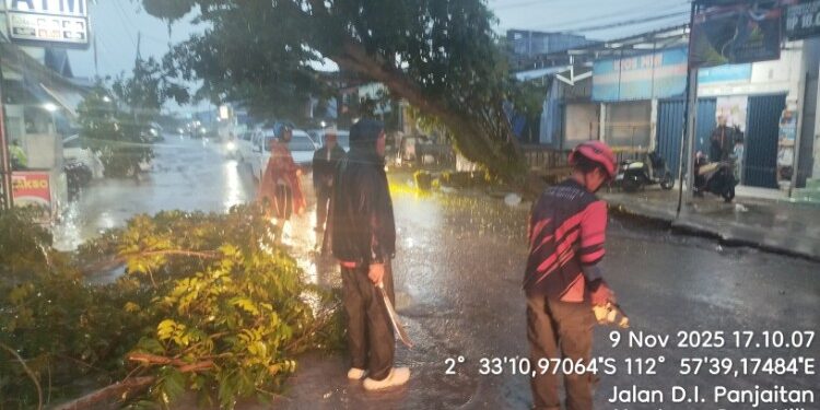 Foto:IST/MATA KALTENG - Pohon tumbang di Jalan DI Panjaitan akibat angin kencang.