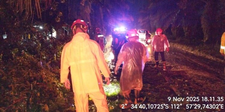 Foto:IST/MATA KALTENG - Pohon roboh di Kota Sampit akibat angin kencang.