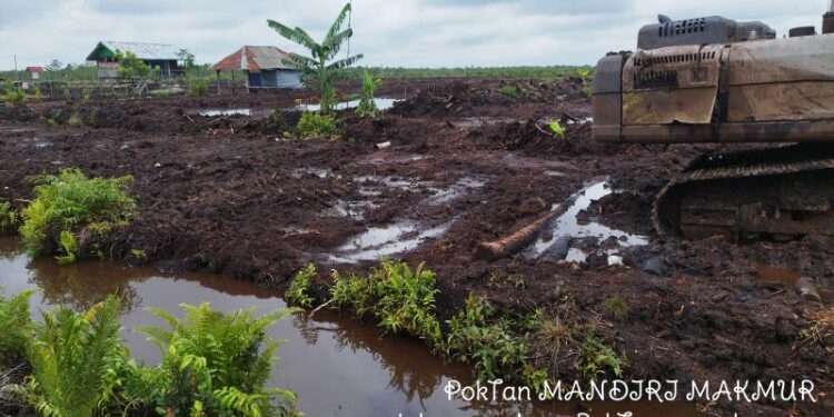 Foto:IST/MATA KALTENG -Program cetak sawah yang digarap kelompok tani Mandiri Makmur.