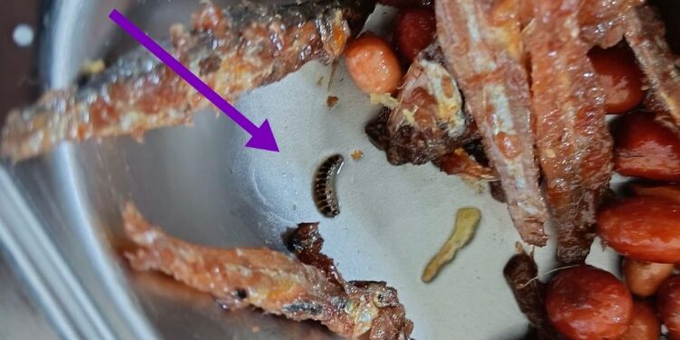 FOTO: IST/MATAKALTENG - Ulat ditemukan di lauk ikan teri kacang pada kegiatan Makan Bergizi Gratis (MBG) di MTsN 1 Palangka Raya.