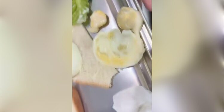 FOTO: IST/MATAKALTENG- Tangkap layar video 12 detik yang diduga menu MBG yang mengandung belatung.