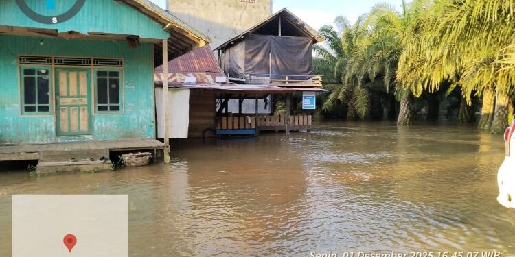 Foto:IST/MATA KALTENG - Banjir yang terjadi di Desa Tumbang Mujam.