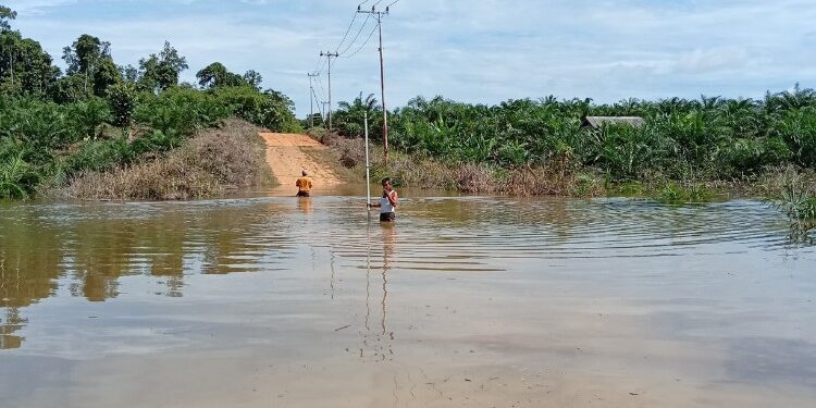 Foto:IST/MATA KALTENG - Kondisi banjir di Desa Tumbang Mujam, 5 Desember 2025.