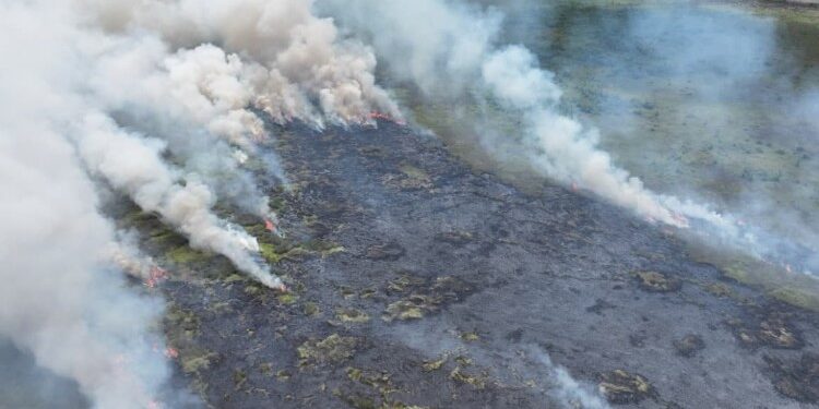 Foto:BPBD/MATA KALTENG- Karhutla yang terjadi di Ujung Pandaran, Kotim.