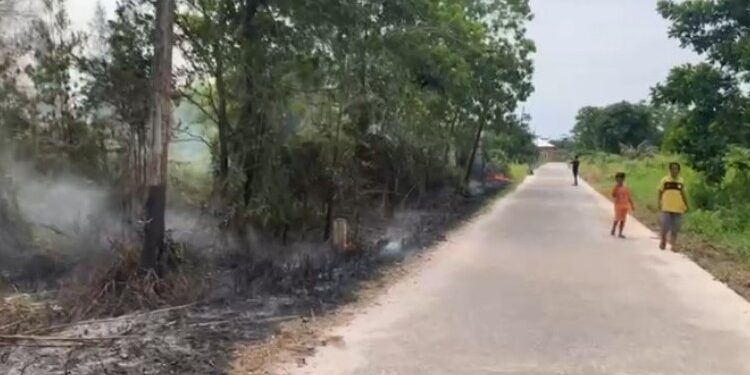FOTO: IST/MATAKALTENG- Terlihat lahan masyarakat di lahap api di permukiman Perumahan Betang Sawit Raya, Kelurahan Pasir Putih, Kecamatan MB Ketapang, Kabupaten Kotim pada Rabu, 21 Januari 2026 siang.